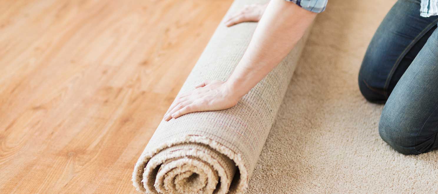 Area Rug Cleaning Tips