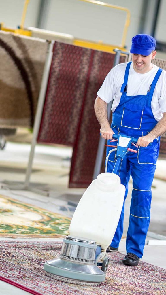 Professional Area Rug Cleaner